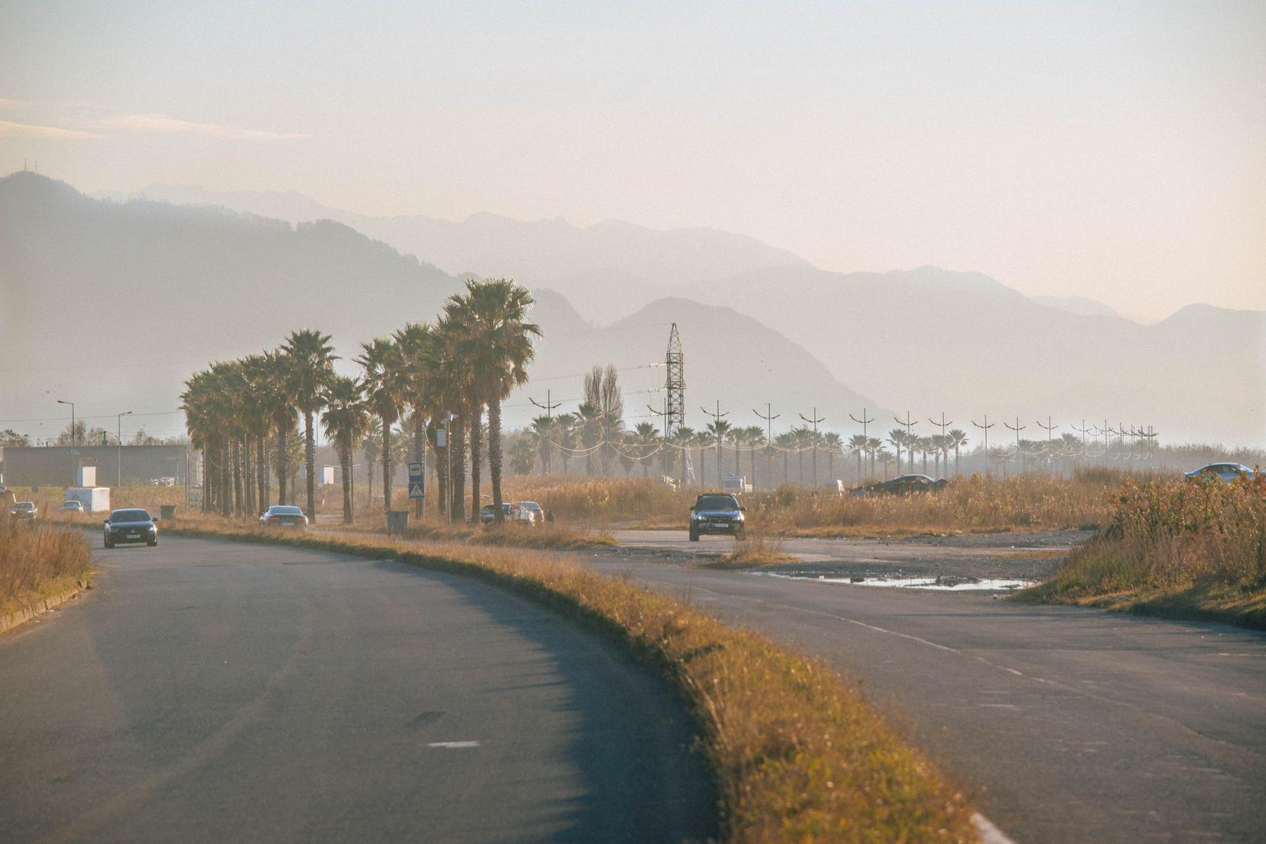 A coastal road through the palms
